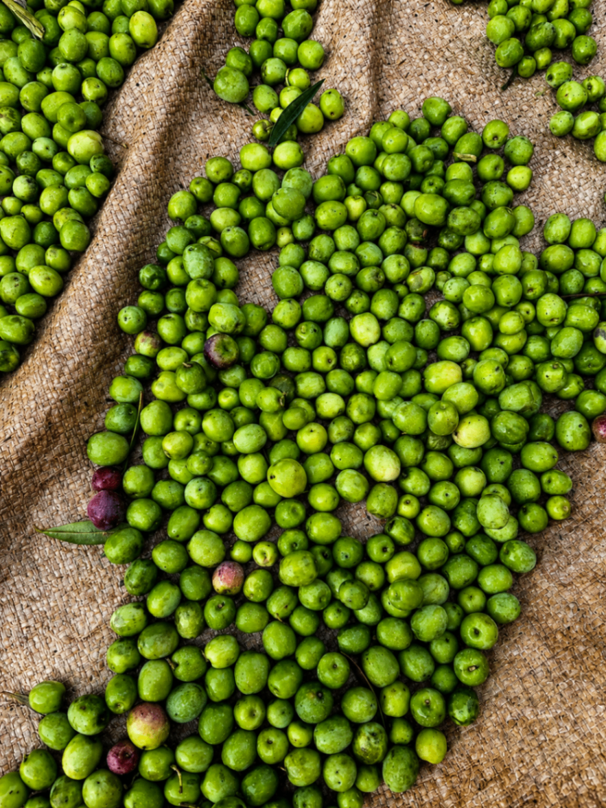 Green olives on rustic cloth, editorial close-up.